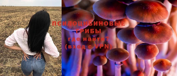дмт Баксан