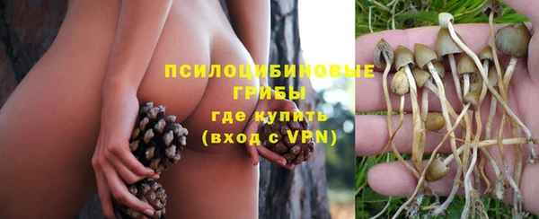 прущие крисы Балабаново