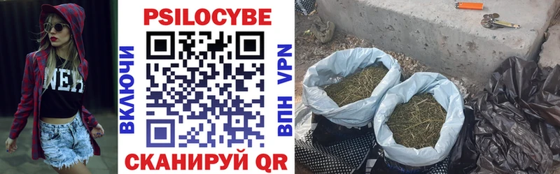продажа наркотиков  Пойковский  Псилоцибиновые грибы Magic Shrooms 